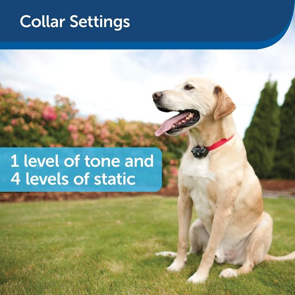 PetSafe - Valla básica para perros y gatos