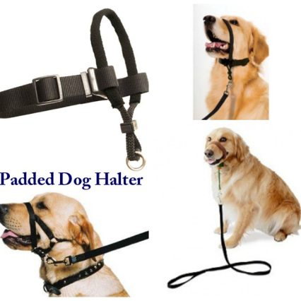 Padded Dog Halter Petmate