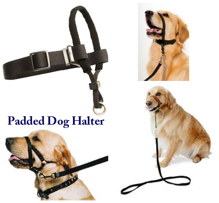 Padded Dog Halter Petmate