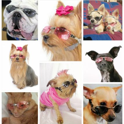 Anteojos para mascota K9 Optix Doggles