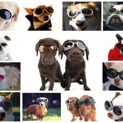Anteojos Doggles Solar