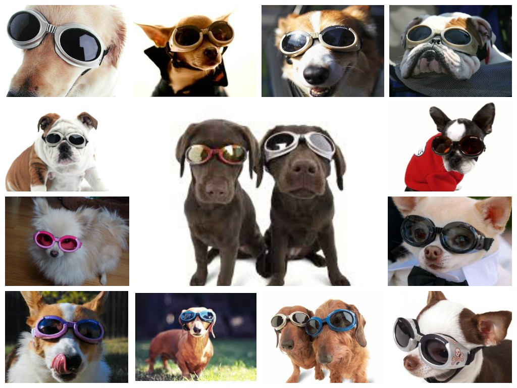 Anteojos Doggles Solar
