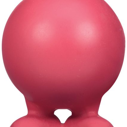 JW Pet Good Cuz Rubber Dog Toy