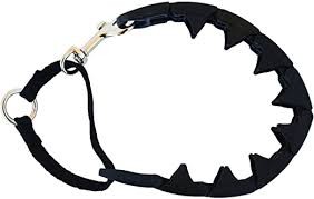 StarMark Pro-Training Collar