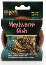 Mealworm dish