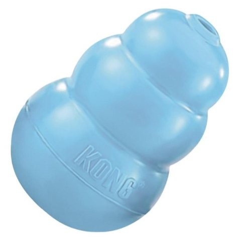 Kong Puppy