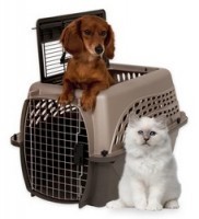 Carrier Door 10-20 lb