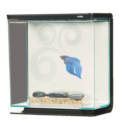 Betta Kit 0,80 Gal.Zen (3 Litros)