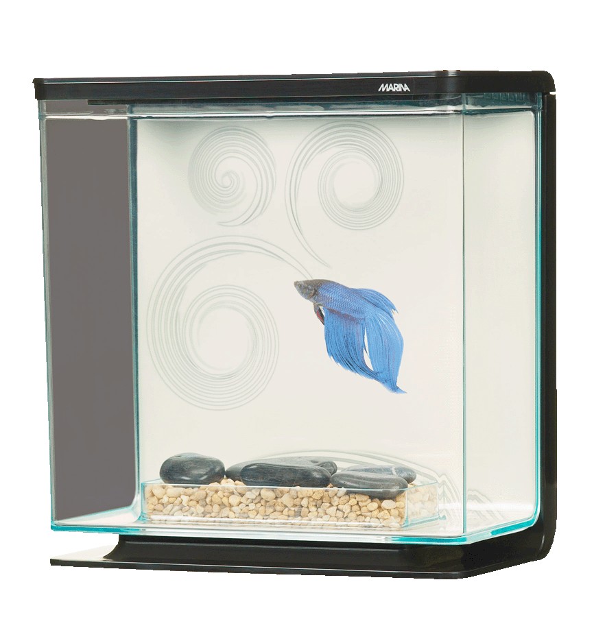 Betta Kit 0,80 Gal.Zen (3 Litros)