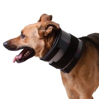 Collar BF1 circulo del cuello
