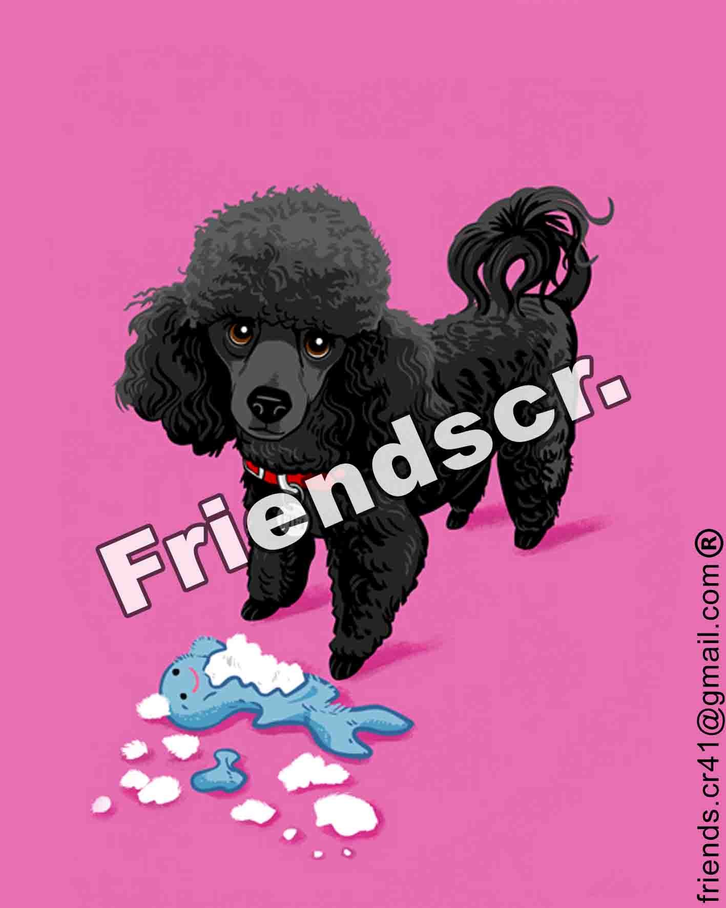 Sticker French Poodle