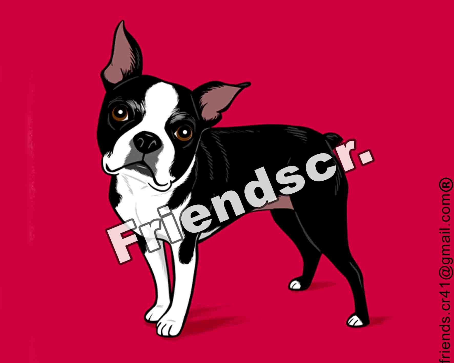 Sticker Boston Terrier