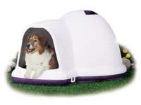 Casas Dogloo Indigo Gde Bl (43.8"lx34"wx25.8"h)