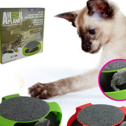 Desestresante Rueda Para Gato