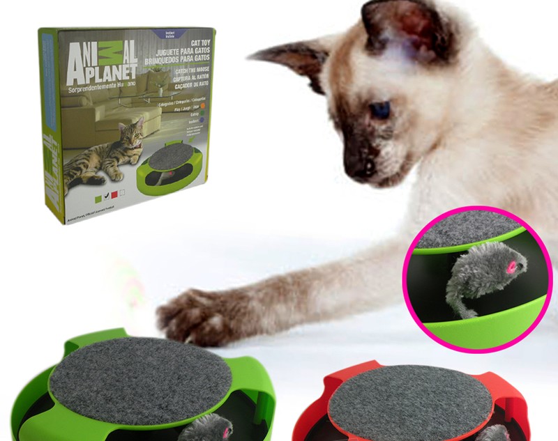 Desestresante Rueda Para Gato