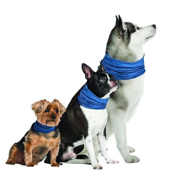 K9 Chill Pet Products Dog Cooling Collar, Blue