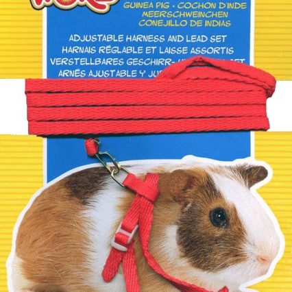 Arnes/Correa Rojo P/Cuilo