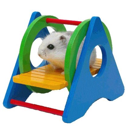 Columpio De Madera P/ Roedores