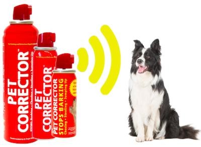 Pet corrector