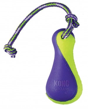 SQUEAKER BUOY