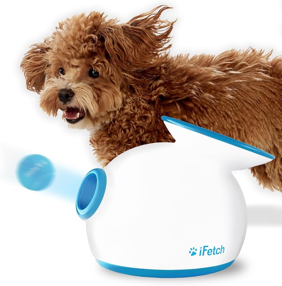 Lanzador de pelotas iFetch Small