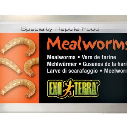Alim. Reptiles Gusano De Harina 34 Gr