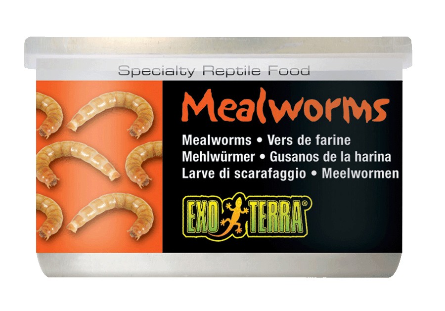 Alim. Reptiles Gusano De Harina 34 Gr