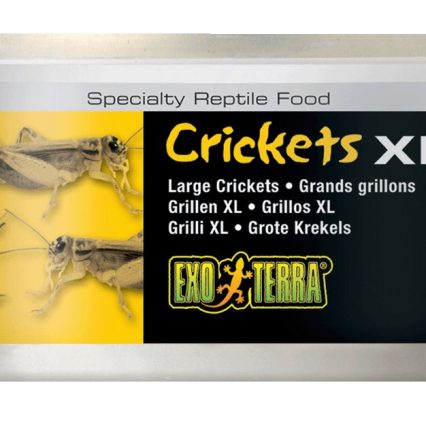 Alimento Para Reptiles Grillos Grandes 34 Gr