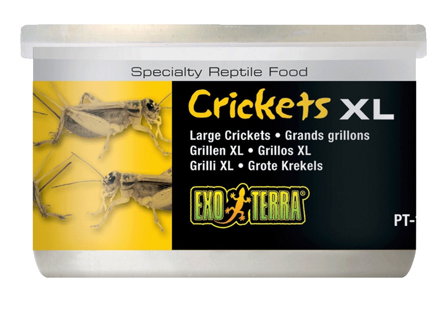 Alimento Para Reptiles Grillos Grandes 34 Gr