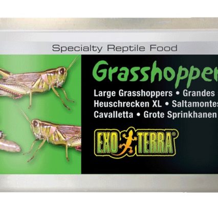 Alimento Para Reptiles Saltamontes 34 Gr