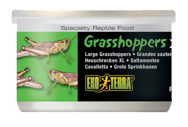 Alimento Para Reptiles Saltamontes 34 Gr