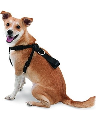 Seat Belt Harness