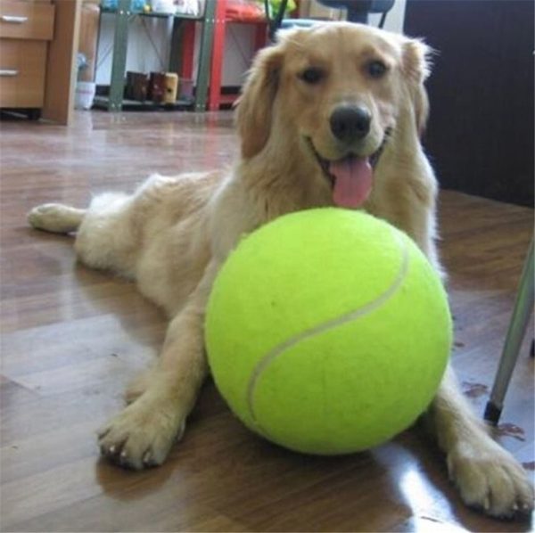 Pelota de tenis gigante para mascota 9,45 pulgadas