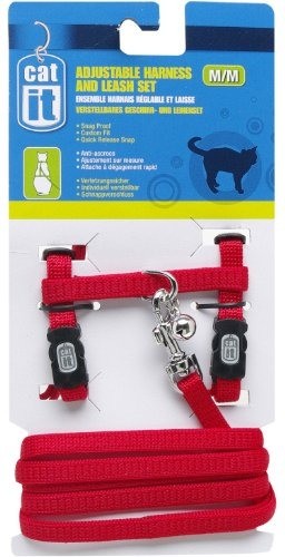 Arnes/Correa Rojo para gato