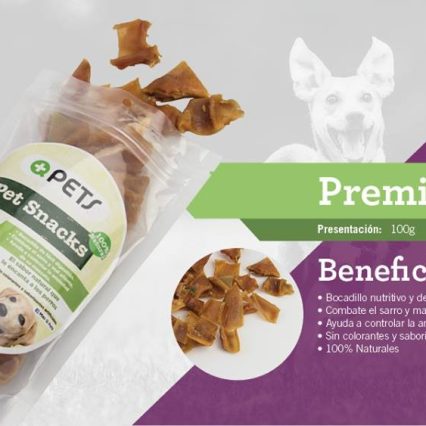 Premios MASQPETS