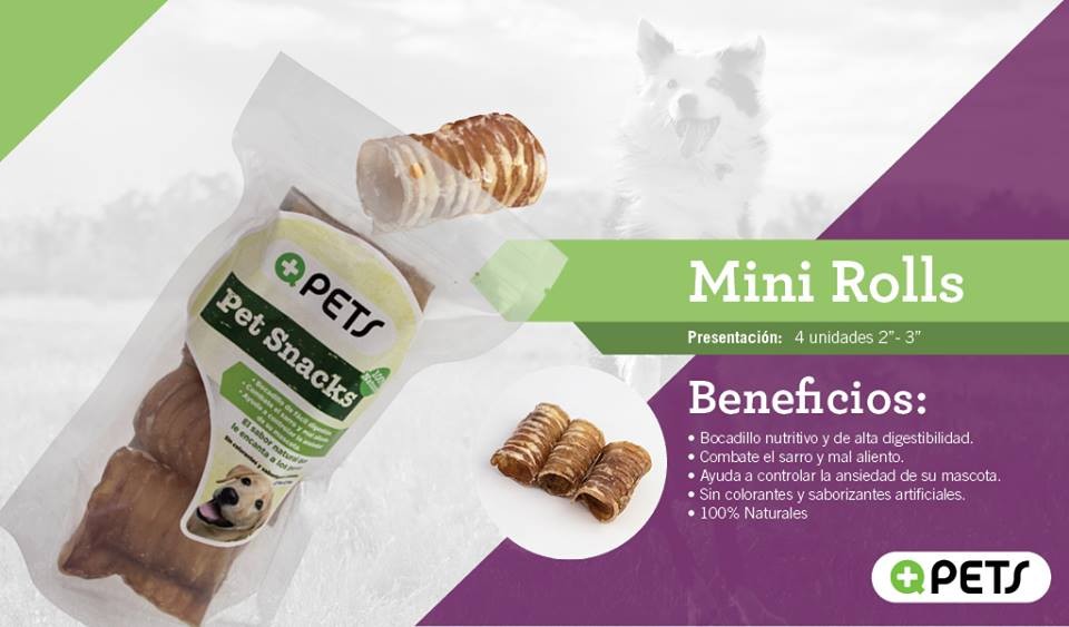 Mini Rollos MASQPETS