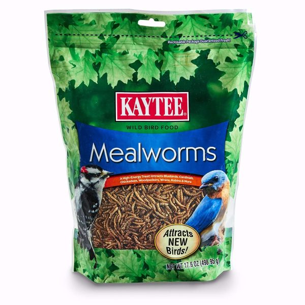Alimento Kaytee Gusanos Mealworms