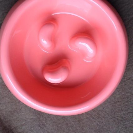 Plato anti voraz colores