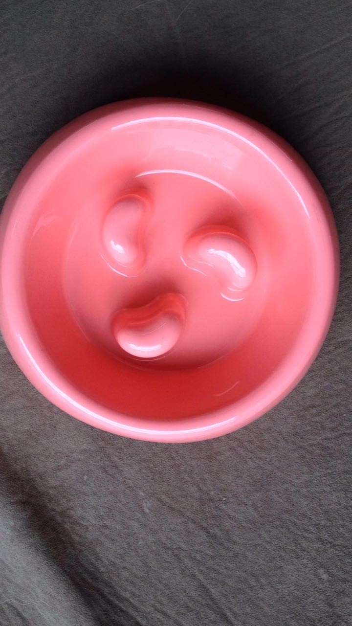 Plato anti voraz colores