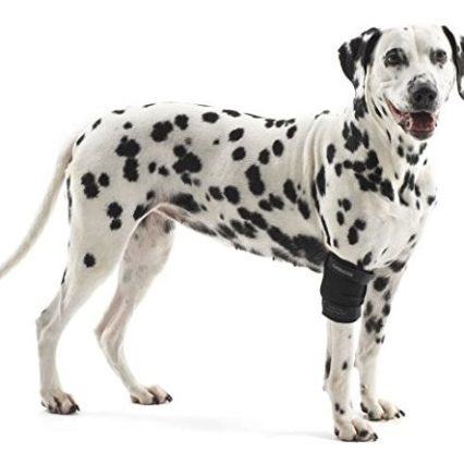 Protector para codo para perro