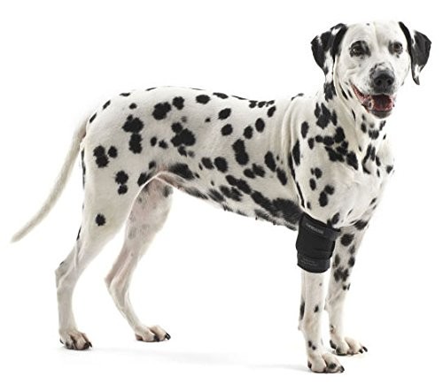 Protector para codo para perro