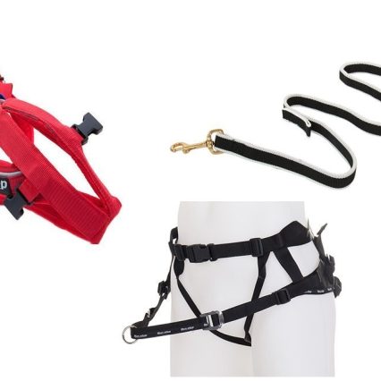 Canicross set