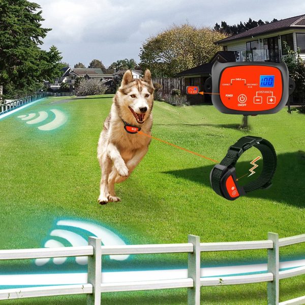 Sistema eléctrico de entrenamiento de perro con 2 collares recargables