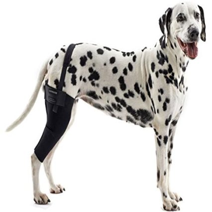 Protector para rodilla