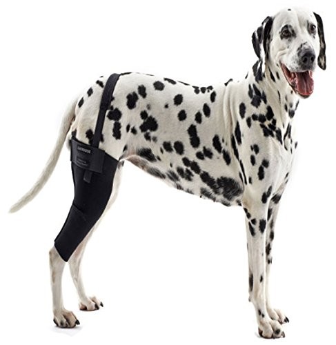 Protector para rodilla