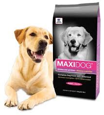 Alimento Maxidog