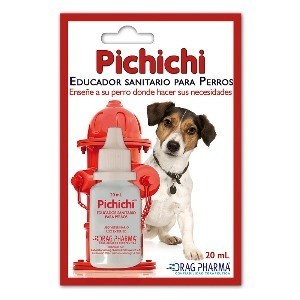 Pichichi Solucion