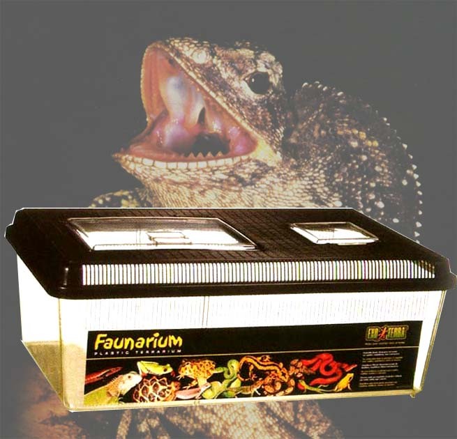 Transportadora Para Reptiles Extra Grande