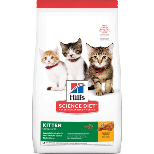 Hill's Science Diet Kitten, alimento para gatitos