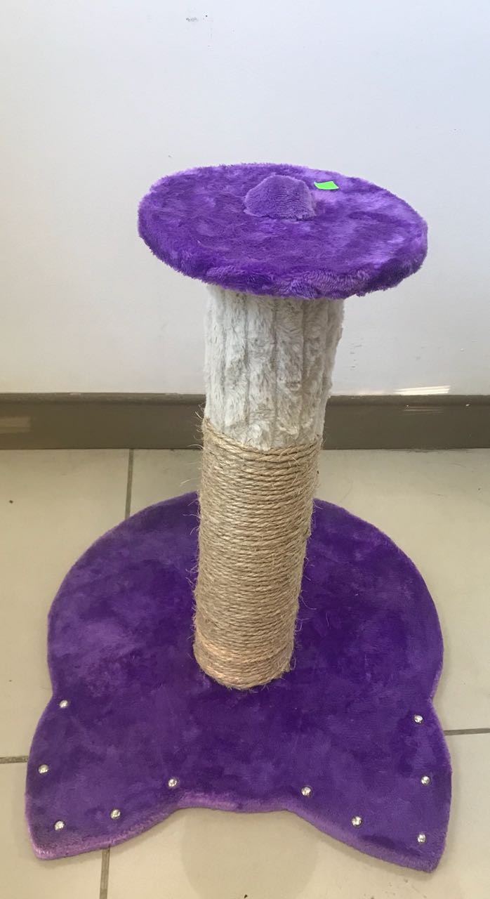 Rascador morado